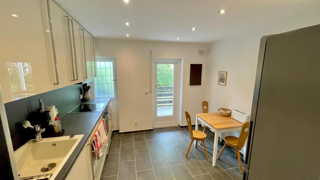 Large With Sauna, Terrace, Garden And Open Fireplace Apartment